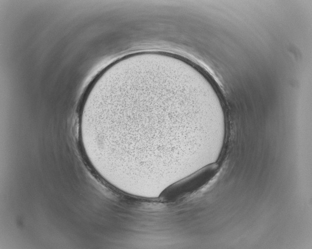 X0000114521509200911161305