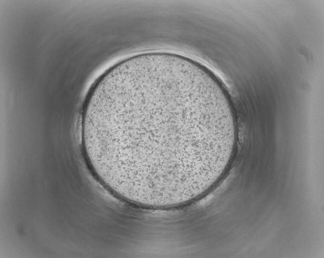 X0000114521510200911161305