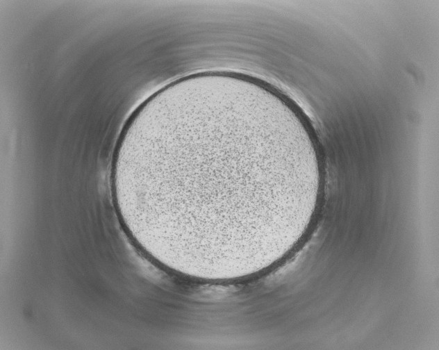 X0000114521513200911161305