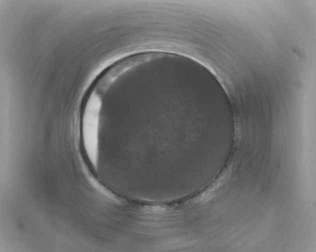 X0000114521515200911161305