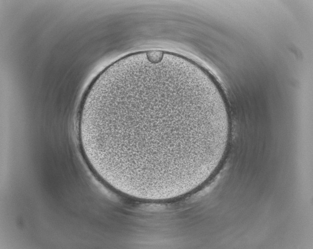 X0000114521517200911161305