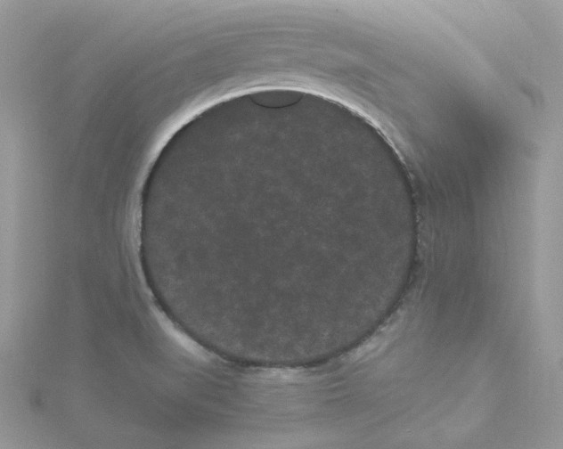 X0000114521519200911161305