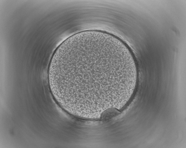 X0000114521521200911161305