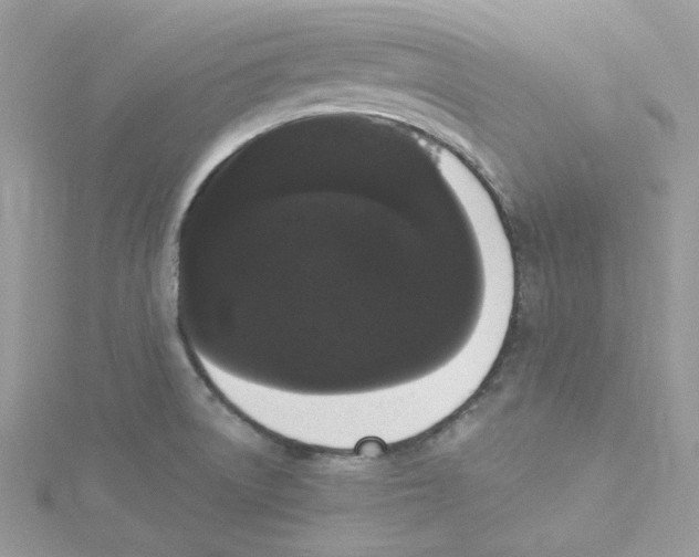 X0000114521522200911161305