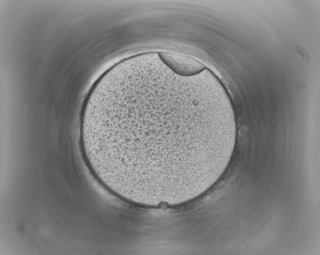 X0000114521523200911161305