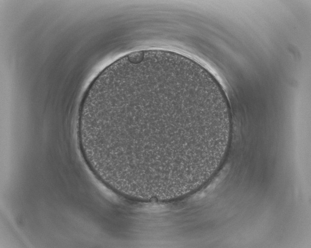 X0000114521525200911161305