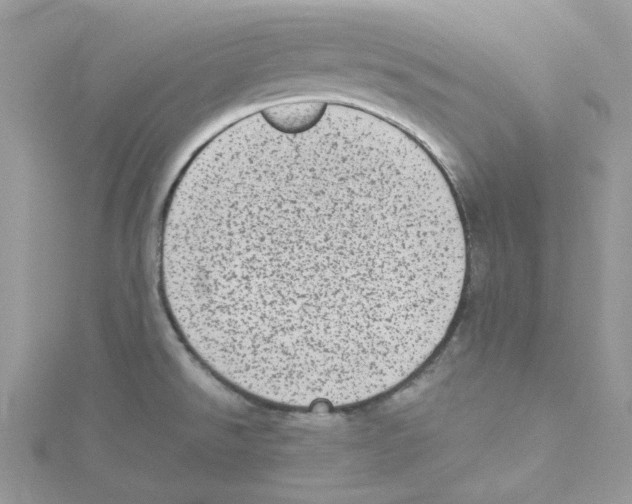 X0000114521526200911161305