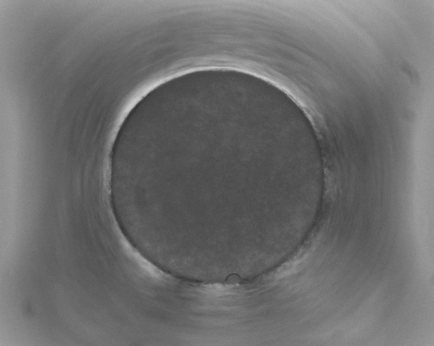 X0000114521527200911161305