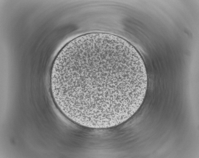 X0000114521531200911161305