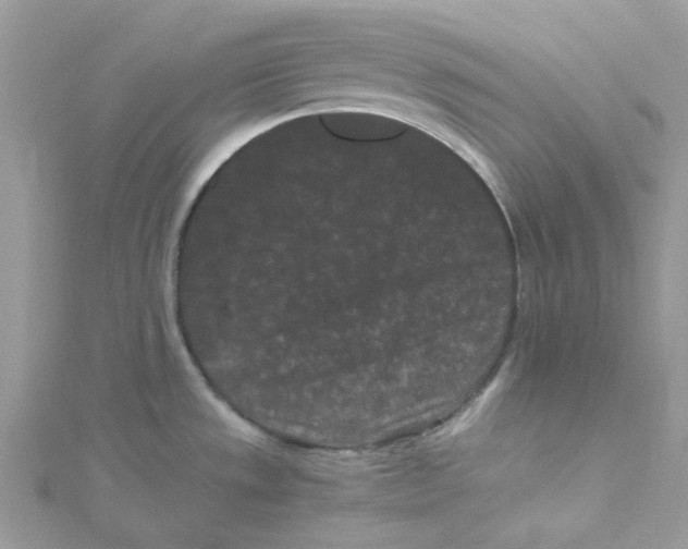 X0000114521533200911161305