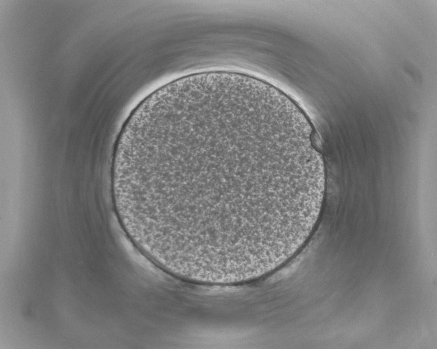 X0000114521534200911161305