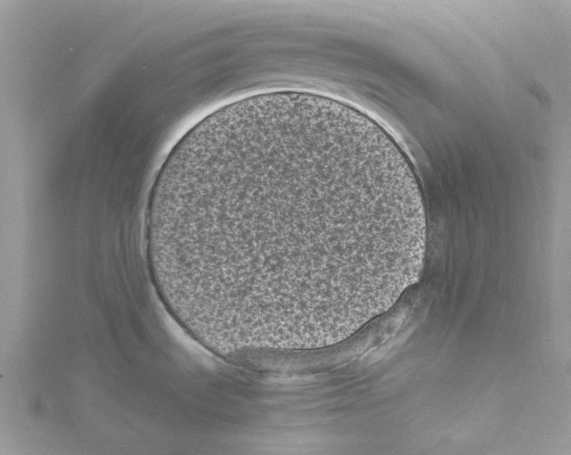 X0000114521535200911161305