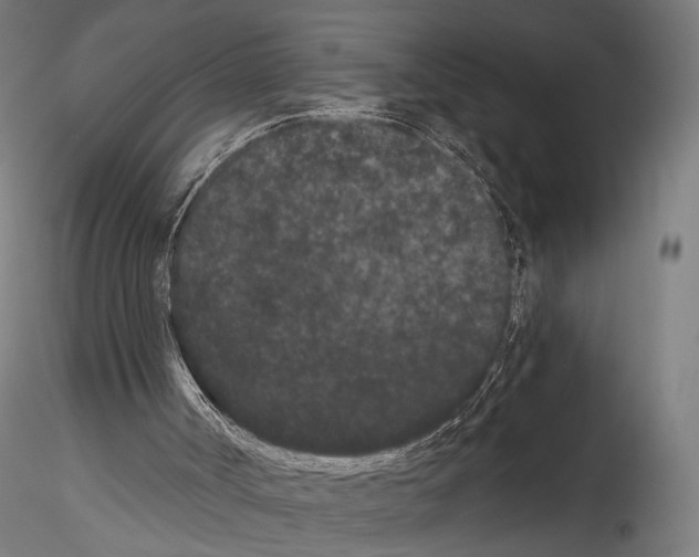 X0000114520002200911301127