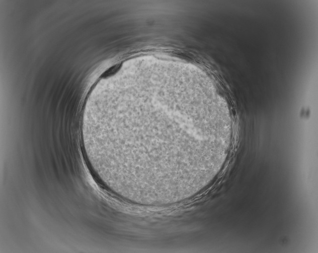 X0000114520003200911301127