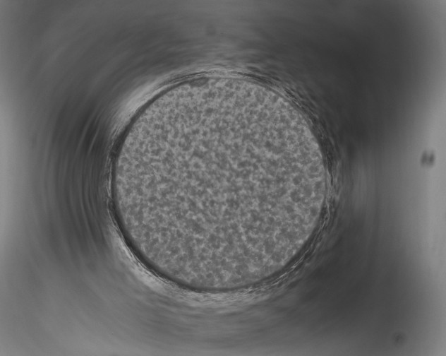 X0000114520005200911301126