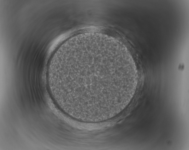 X0000114520006200911301126