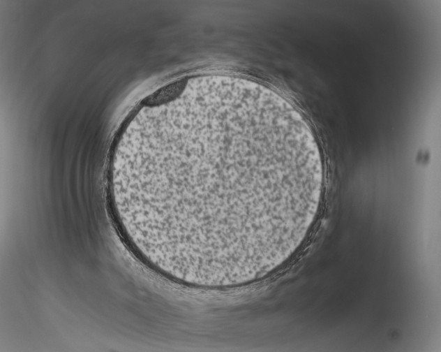 X0000114520007200911301126