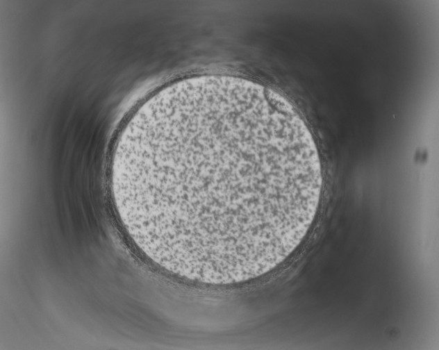 X0000114520008200911301126