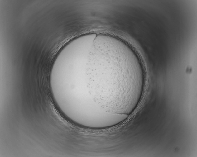 X0000114520009200911301126