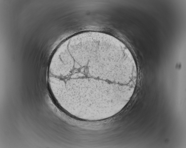 X0000114520011200911301126