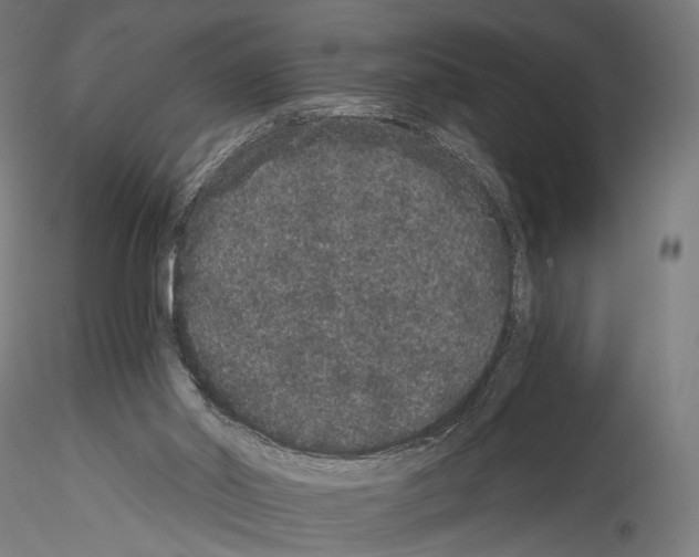 X0000114520014200911301126