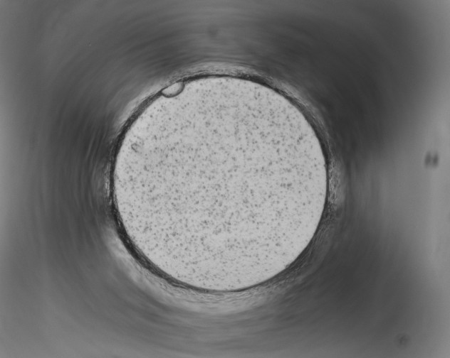 X0000114520015200911301126