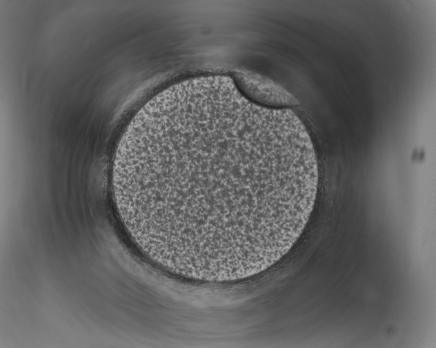 X0000114520016200911301126