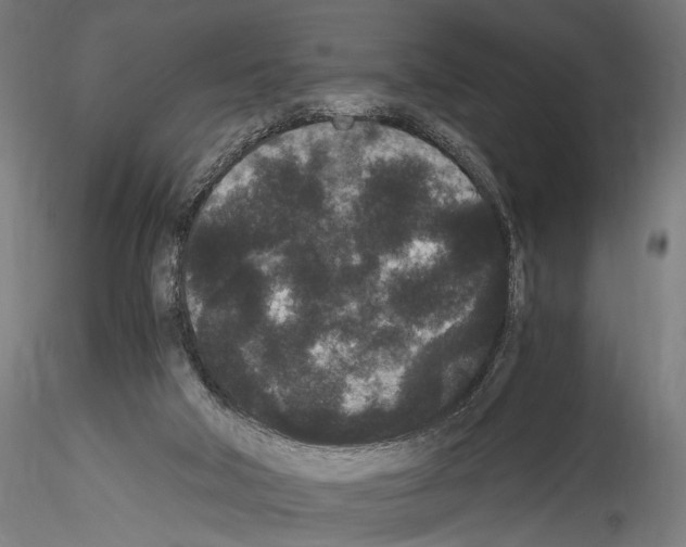 X0000114520018200911301126