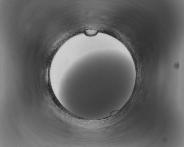 X0000114520019200911301126