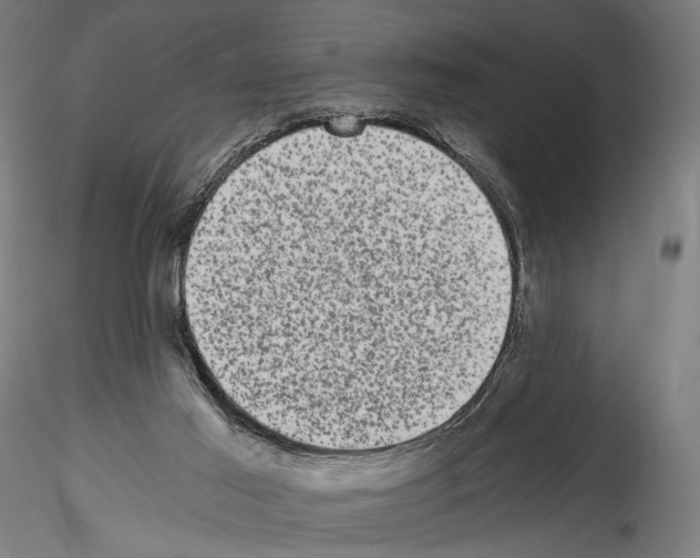 X0000114520021200911301126