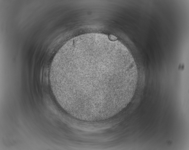 X0000114520022200911301126