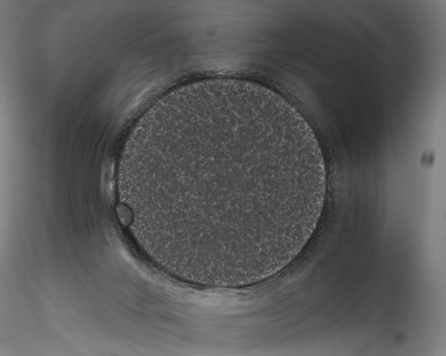 X0000114520024200911301126