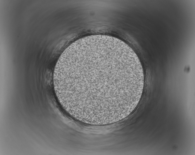 X0000114520025200911301126