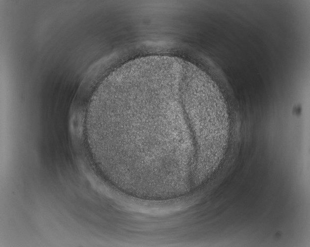 X0000114520026200911301126