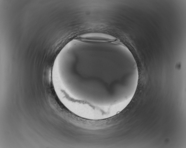 X0000114520027200911301126