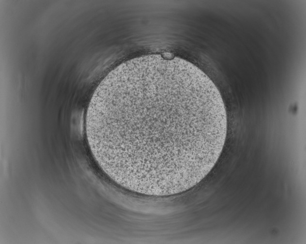 X0000114520028200911301126