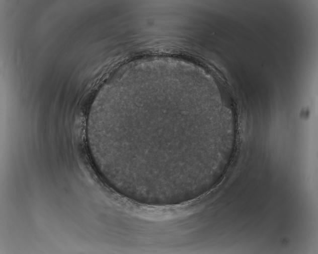 X0000114520029200911301126