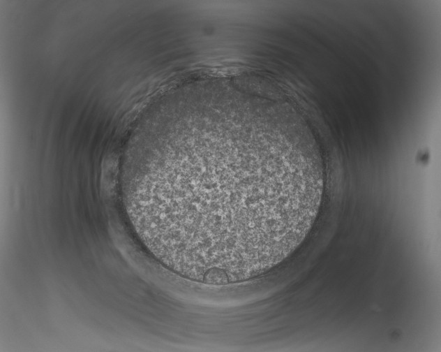 X0000114520030200911301126