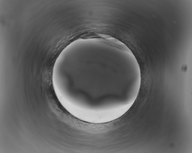 X0000114520031200911301126