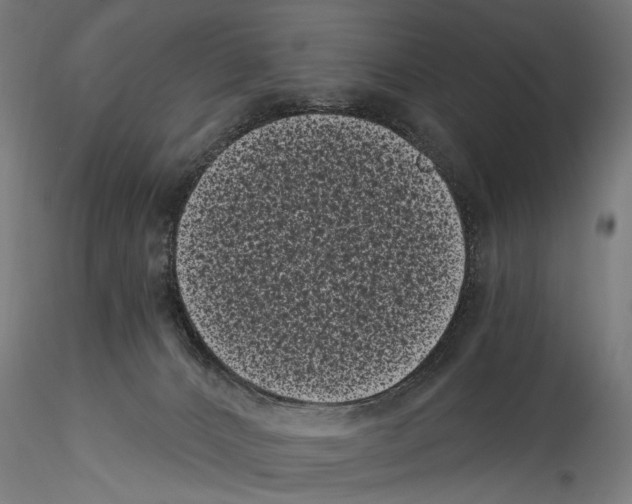 X0000114520032200911301126