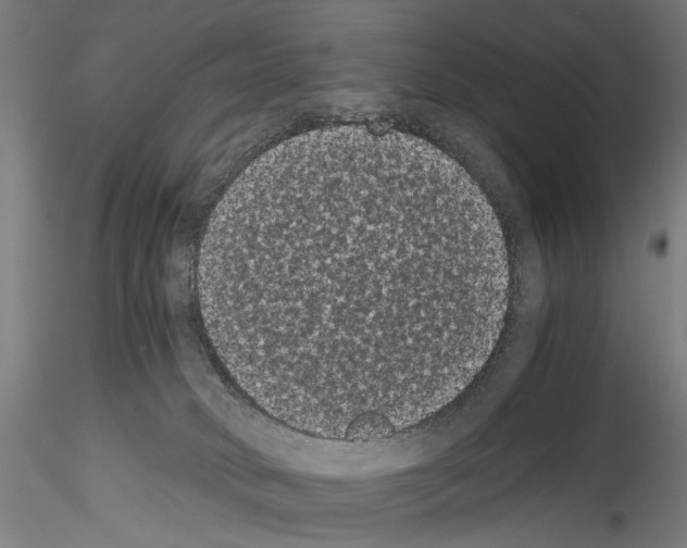 X0000114520034200911301126