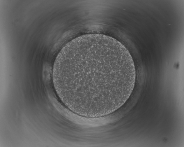 X0000114520038200911301126