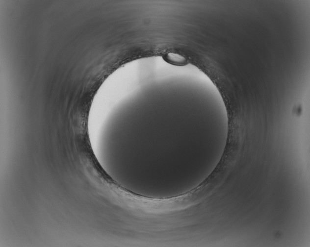 X0000114520039200911301126