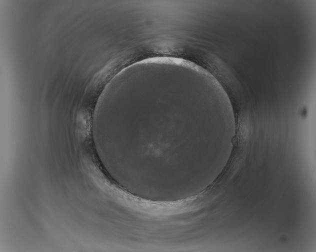 X0000114520043200911301126