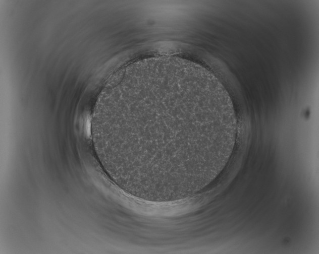 X0000114520046200911301126