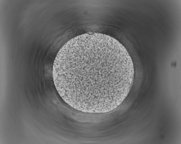 X0000114520048200911301126