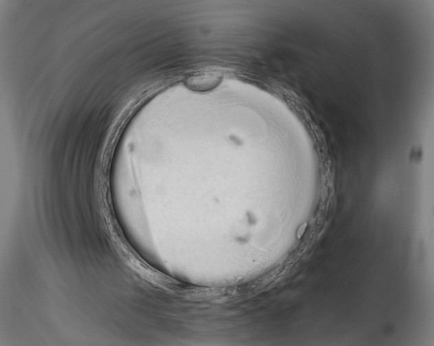 X0000114520049200911301125