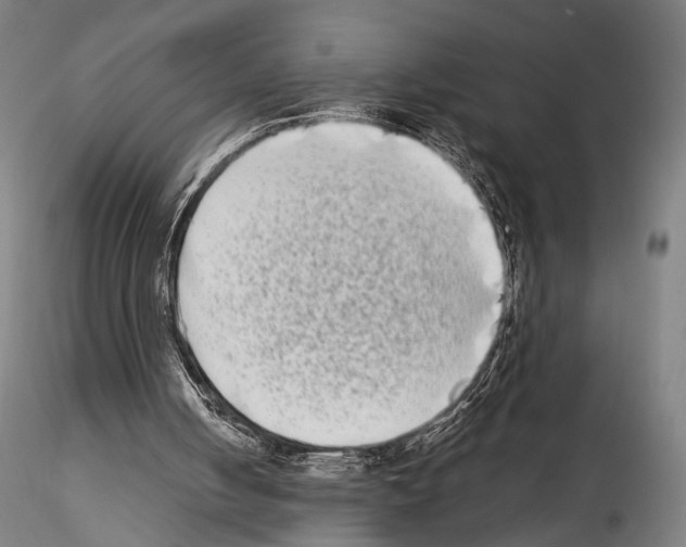 X0000114520050200911301125