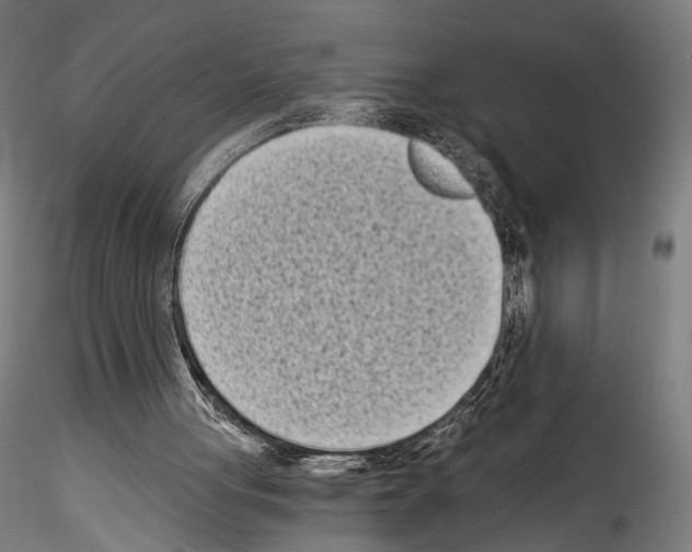 X0000114520051200911301125