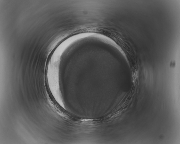 X0000114520052200911301125